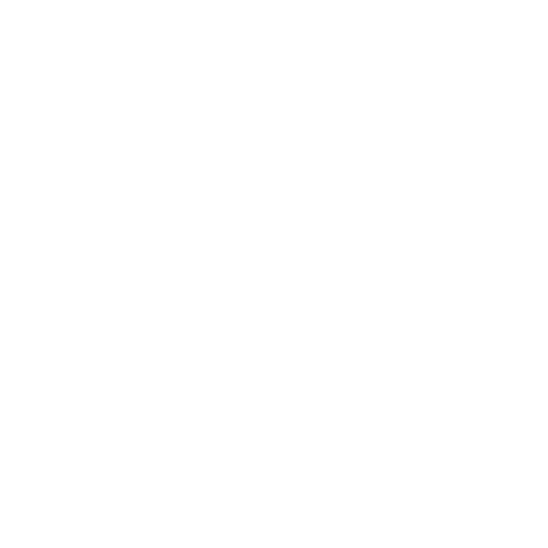 Neuvik Loader Logo